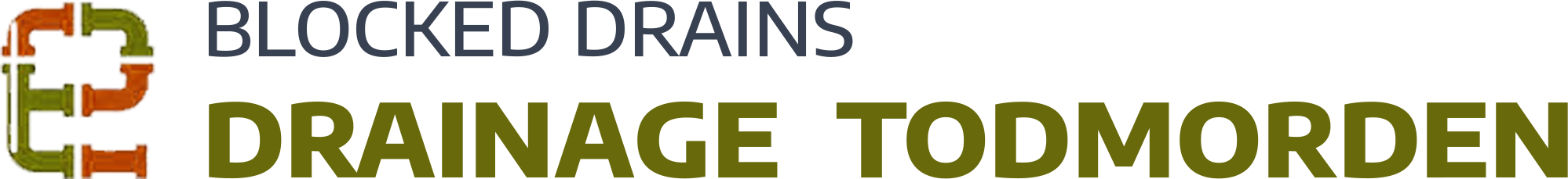 website logo